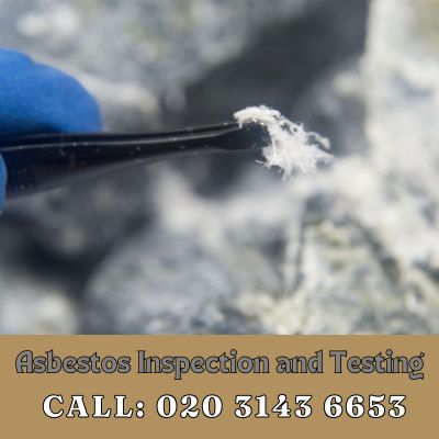 Comprehensive Asbestos Inspection and Testing Services in Harold Hill